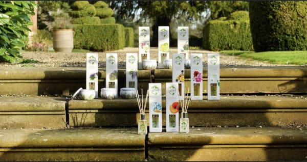 Ashleigh & Burwood Reed Diffuser Image